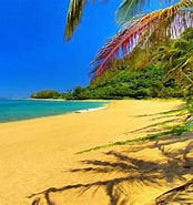 Image result for Beach. Size: 174 x 185. Source: wallpapercave.com