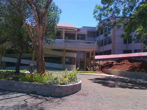 college university mount kenya university college