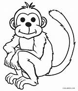 Monkey Coloring Pages Printable Kids sketch template