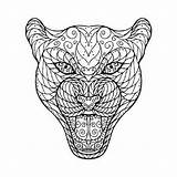 Giaguaro Testa Groviglio Zentangle Jaguars Illustrationen sketch template