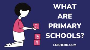 primary schools definitions advantages lms hero
