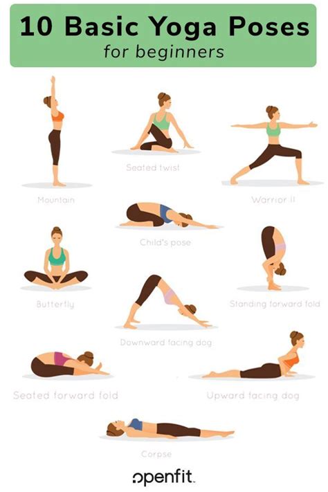 basic yoga poses  beginners basic yoga poses basic yoga learn yoga poses