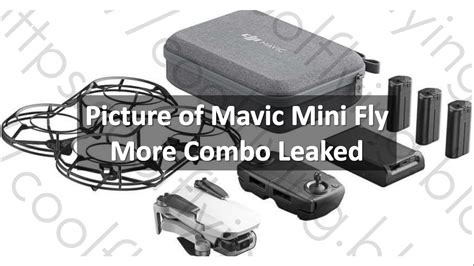 mavic mini fly  combo picture leaked