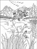 Fantasy Forest Coloring Pages Miro Stefania Animal Adult sketch template