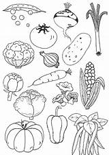 Legumes Imprimer Légume Dessins sketch template