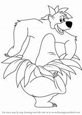 Jungle Baloo Book Drawing Draw Step Bear Cartoon Drawingtutorials101 Previous Next Sloth sketch template