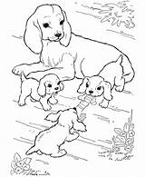 Coloring Pages Puppies Pound Dog Popular sketch template