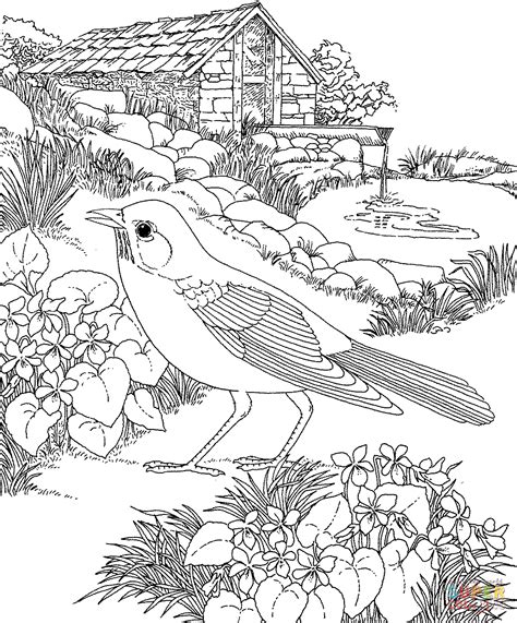 flower garden coloring pages    print