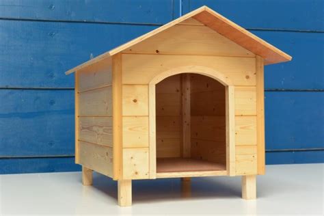 build  simple dog house