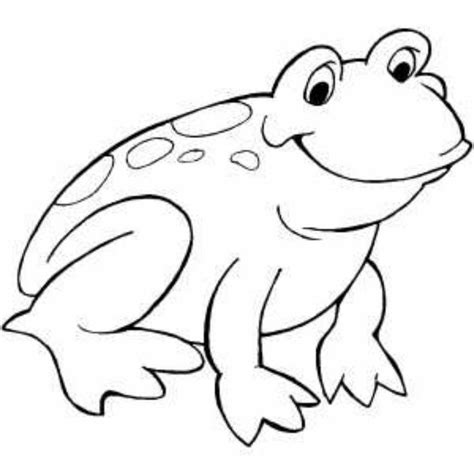 beautiful coloring pages  frogs    frog coloring pages