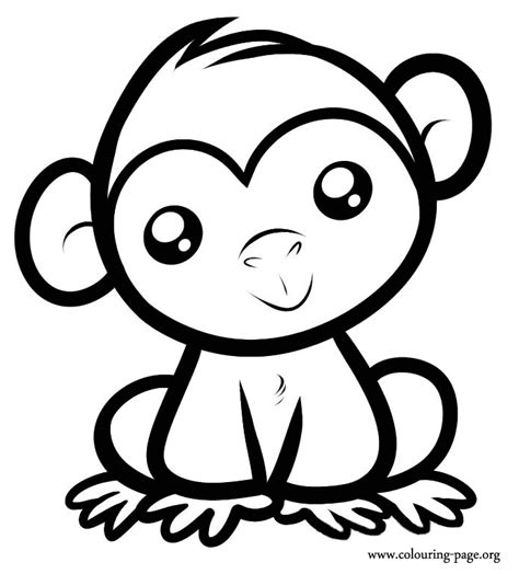 monkeys  cute baby monkey sitting coloring page