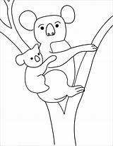 Koala Coloringbay Dessus Laguerche Coloringme Kolala sketch template