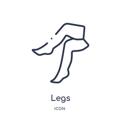 human leg illustrations royalty free vector graphics and clip art istock