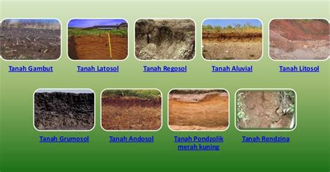 mengenali jenis jenis tanah  indonesia klik geografi
