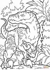 Velociraptor Coloring Dino Pages Dinosaurs Drawing sketch template