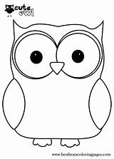 Coloring Pages Owl Cute Popular sketch template