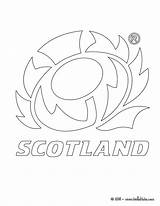 Rugby Scotland Pages Coloring Scottish Colouring Team Flag Drawing Getdrawings Getcolorings Printable Print Color Map Searches Recent sketch template
