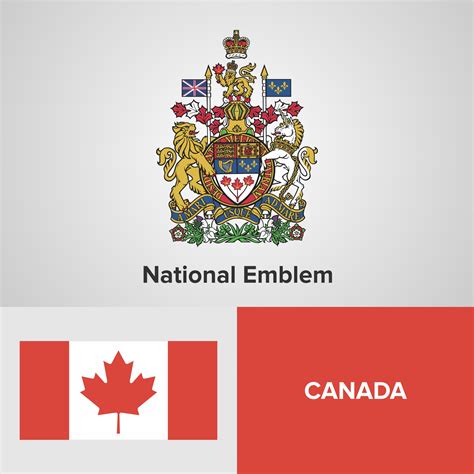 canada national emblem map  flag  vector art  vecteezy