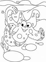 Starfish Coloring Pages Animals Printable sketch template