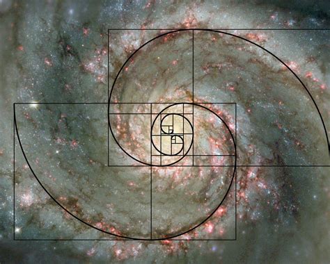universe   spiral scientific scribbles