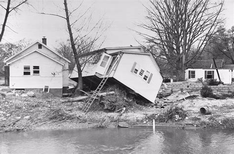 hurricane hazel the social historian