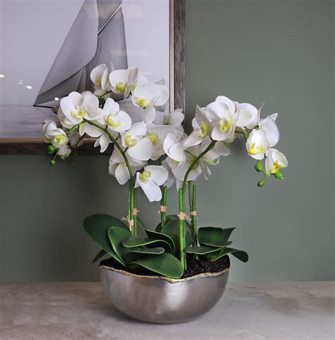 white phalaenopsis orchid arrangement silk  design