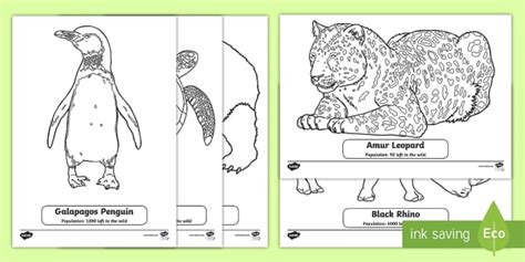 animals  threat colouring sheets primary resource