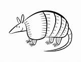 Armadillo Coloring Clip Drawing Cliparts Pages Printable Popular Getdrawings sketch template