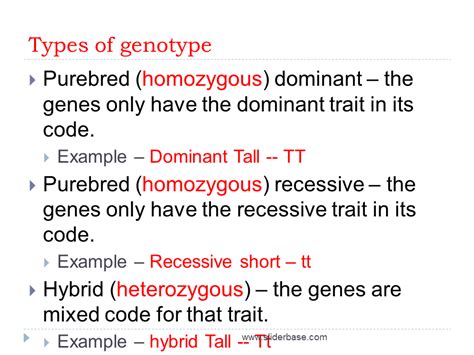 genotype and phenotype presentation genetics