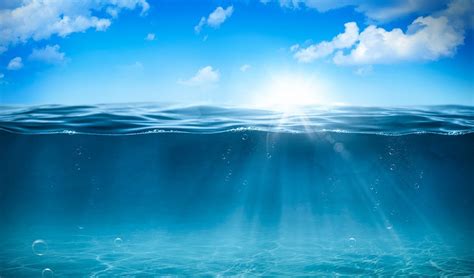 wie viel  schlucken die ozeane wissenschaftde