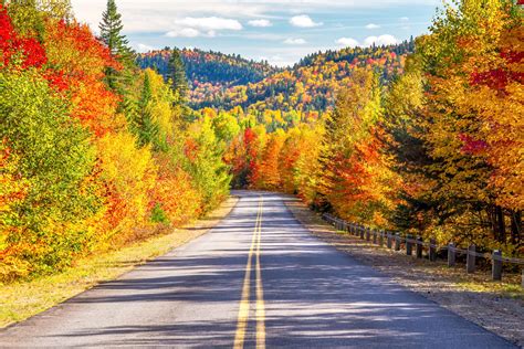 fall colors  colorado