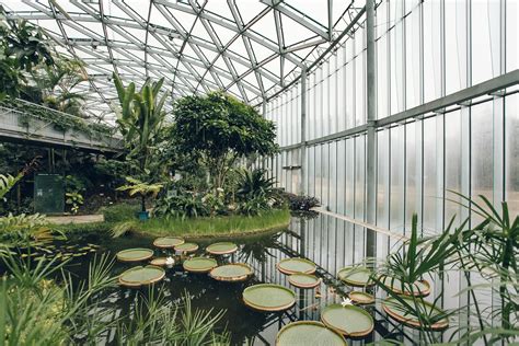 japan greenhouse  posts haarkon