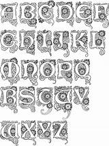 Nouveau Alphabet Deco Lettering Fonts Letters Letter Illuminated Calligraphy Font Initials Board Jugendstil Fontz Celebrity Pages Flowery Designs Caps Hand sketch template