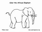 Coloring Elephant African Pages Savanna Drawing Elephants Animals Color Africa Printable Getcolorings Pdf Print Drawings Desert Savannah Forest Paintingvalley South sketch template