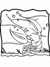 Lobster Pintable sketch template