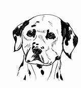 Dog Fire Coloring Dalmatian Pages Dalmation Getcolorings Sparky Getdrawings sketch template