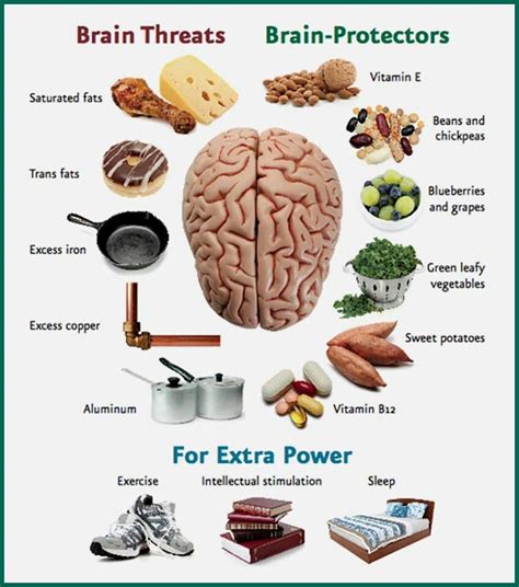 brain food natural health information pinterest health brain health and wellness