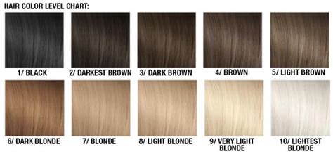 how to determine natural hair color levelbest hair colors