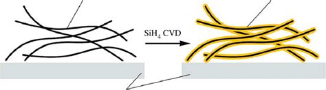 schematic illustration   coating  carbon nanofibres  bare