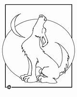 Howling Wolves Lupo Kleurplaat Stampare Coloring Kleurplaten Collections sketch template