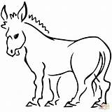 Donkey Coloring Pages Printable Donkeys Drawing Gif sketch template