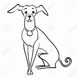 Greyhound Divertido Sentado Face sketch template