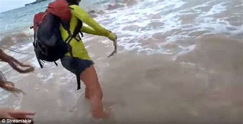 woman bitten by shark after picking it up for a selfie