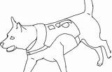 Rottweiler Coloring Pages Designlooter 420px 73kb sketch template