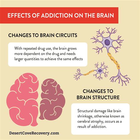 neuroplasticity rewiring the brain after addiction dcr