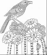 Hard Coloring Pages Very Getcolorings Printable Color sketch template