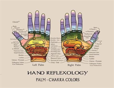 Reflexology Foot And Hand Charts Etsy Hand Reflexology Reflexology
