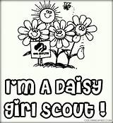 Scouts Coloring4free Sheets Daisies sketch template