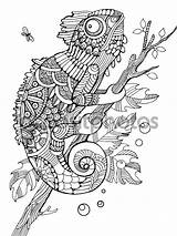 Mandala Coloring Pages Chameleon Color Animal Vector Adult Choose Board Anti Detailed Book sketch template