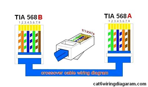 cat wiring diagram internet
